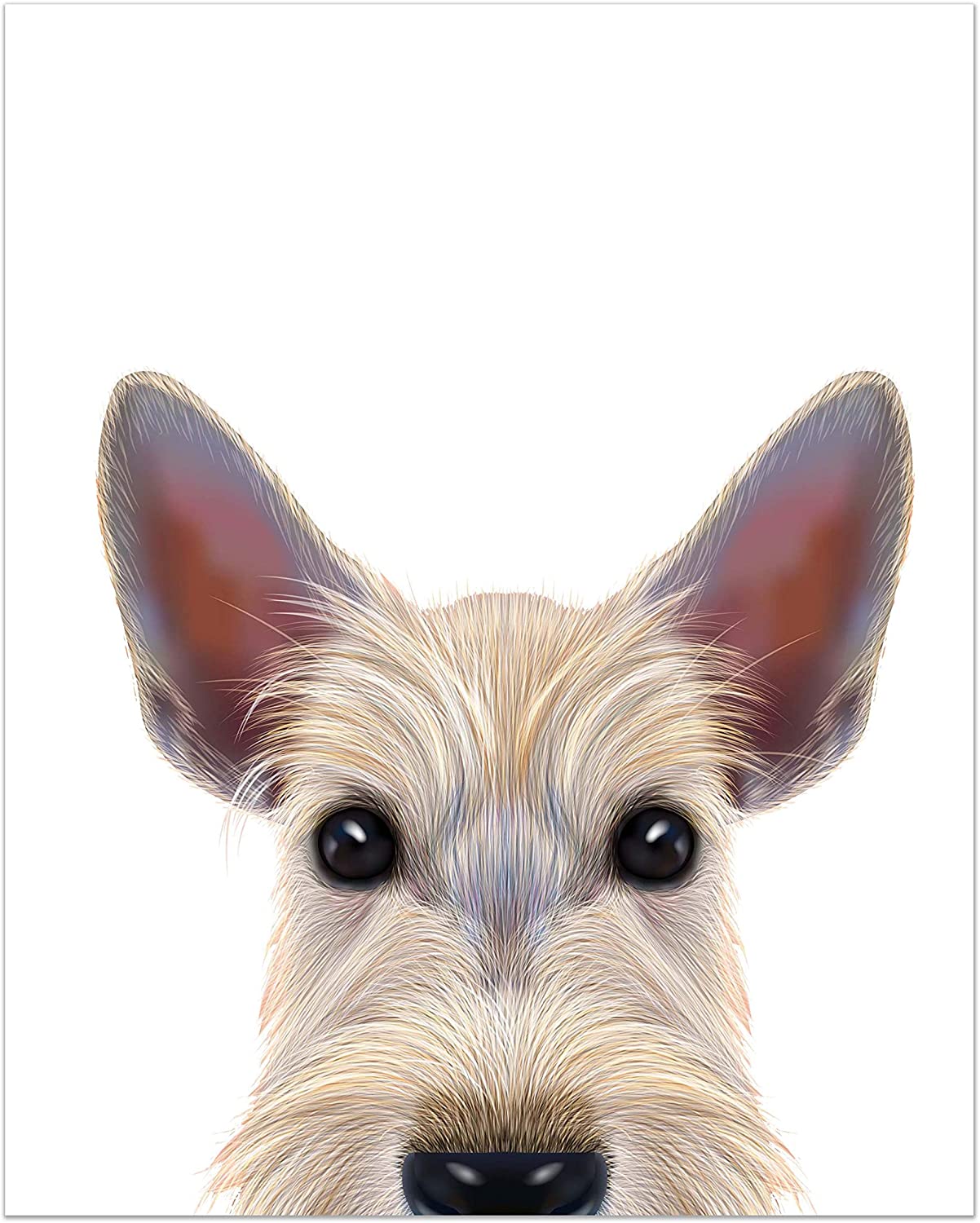 Summit Designs Scottish Terrier Wall Art Décor Prints (2)